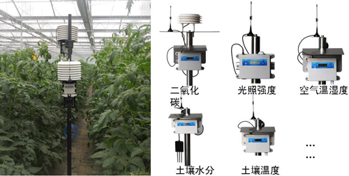 【智慧农业物联网百科】传感器在农业物联网系统建设中的重要作用